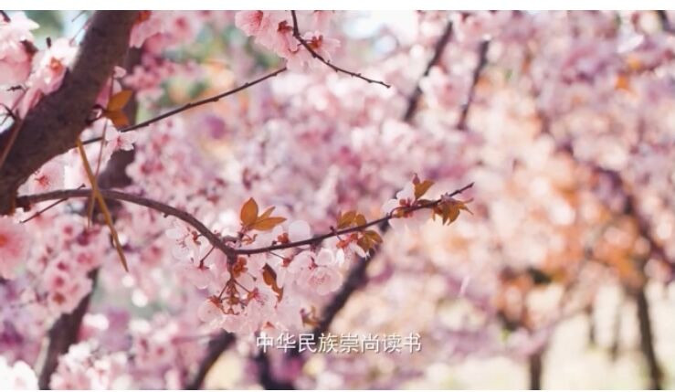 QQ图片20220423155638.jpg